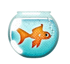 Guldfisk Guldfisk