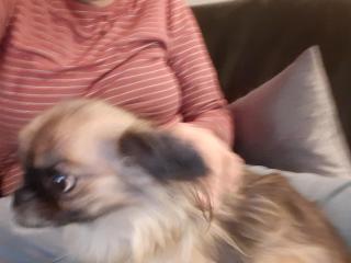 Cecilie