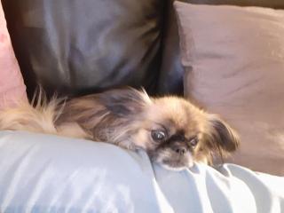 Cecilie