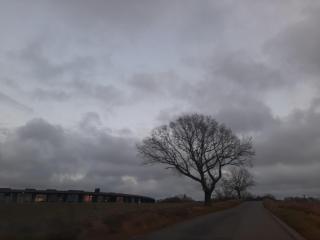 Cecilie