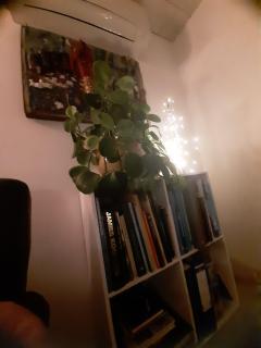 Cecilie