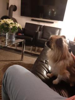 Cecilie