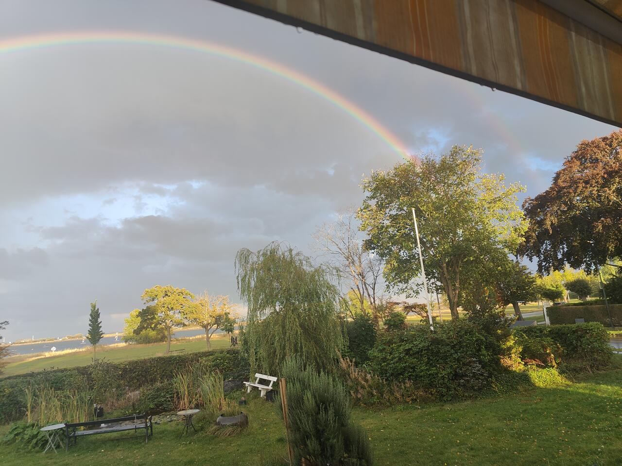 Robbieee