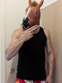 hestemanden