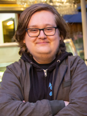 Nyreslugeren