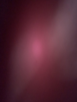 AmalieMalle97