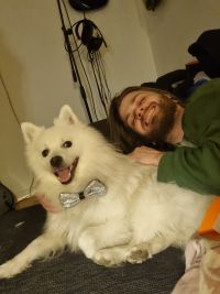 Yeti