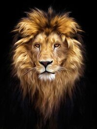 King8282