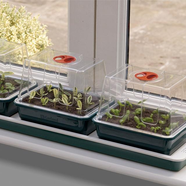 Garland minidrivhus med varme - 3 bakker