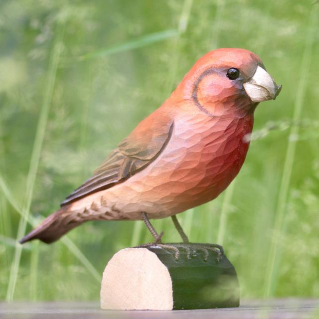 Wildlife Garden træfugl - lille korsnæb
