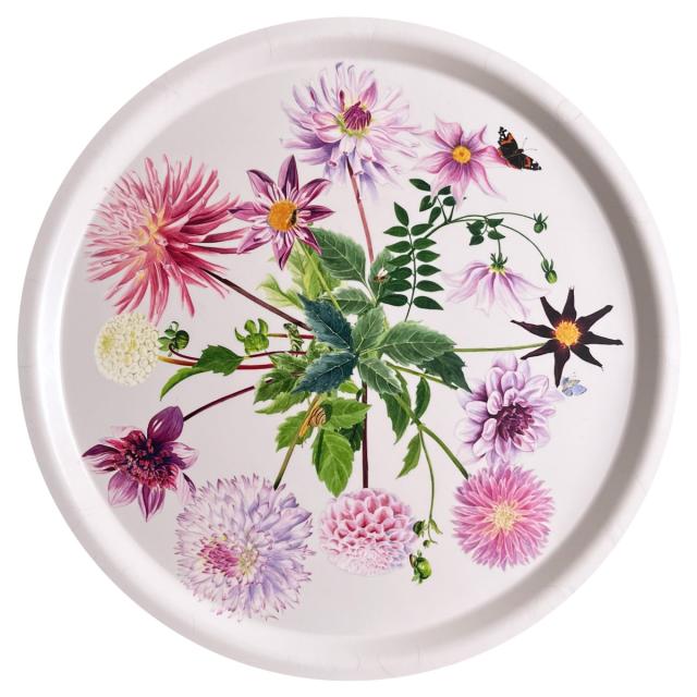 Koustrup & Co. bakke, Ø38 - dahlia